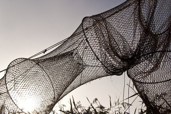 捕鱼渔网牧歌太阳薄雾海岸钓鱼阴霾露珠渔业图片