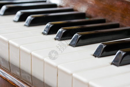 钢琴键盘宏观钥匙娱乐电子白色工作室笔记旋律乐器黑色图片