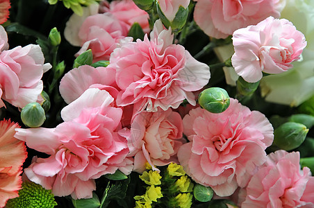 花束鲜花庆典玫瑰装饰美丽风格婚礼植物礼物花瓣叶子图片