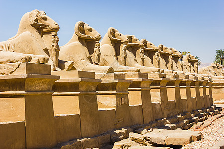 埃及卡纳克寺庙古老废墟大厅古物旅游历史考古学国王上帝狮身石头艺术图片