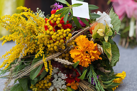 鲜花和草药的美丽花束向日葵感恩玉米季节植物橡子橙子植物学作品草本植物图片
