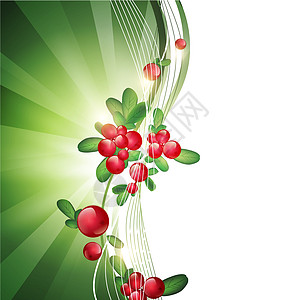 草莓红色边界浆果叶子水果活力绿色植物生长绿色框架图片