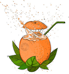 橙汁喷洒树叶植物作品热带绿色插图稻草叶子静物橙子图片