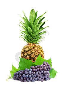 菠萝小吃热带美食酿酒食物白色酒厂水果茶点植物图片