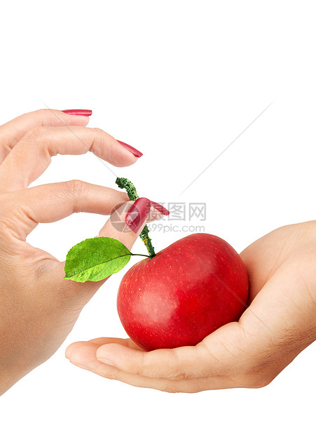 女孩给男人一个苹果棕榈食物身体水果天堂手指木头农场农业小吃图片