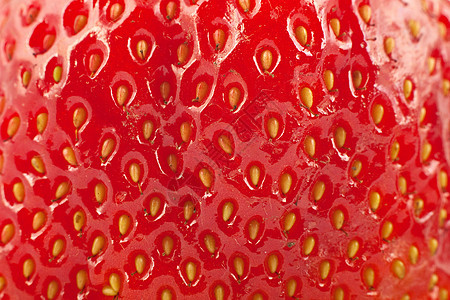 草莓详细表层农业美食小吃果汁宏观框架种子浆果食物植物图片
