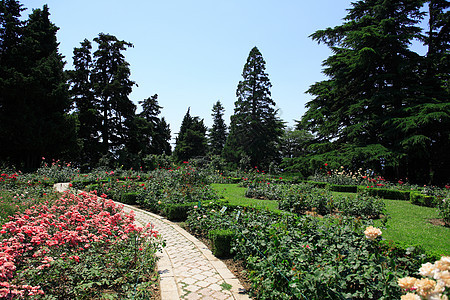 植物园花园公园花坛植物植物学天空人行道生长园艺图片