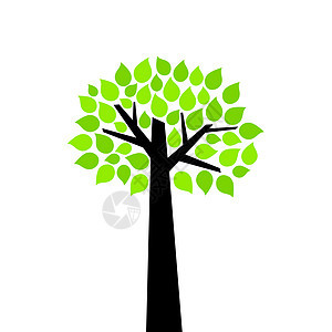 树木卡通片装饰品橡木叶子植物群艺术尾巴插图桦木植物背景图片