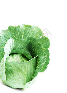 绿色卷心菜头水果食物白色叶子蔬菜图片