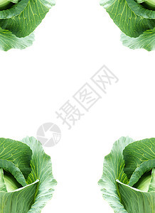 绿色卷心菜头食物蔬菜白色叶子水果图片