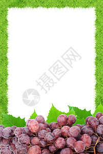 葡萄框架葡萄园生长作品小路季节浆果水果藤蔓食物图片