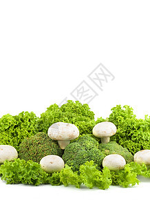 生菜的香皮尼翁蘑菇沙拉食物植物白色小吃蔬菜美食图片