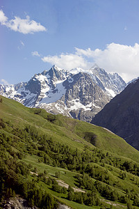 有树木的山地风景环境首脑顶峰高度生长天空荒野悬崖全景远足图片