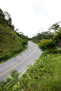 普廖森林道路图片