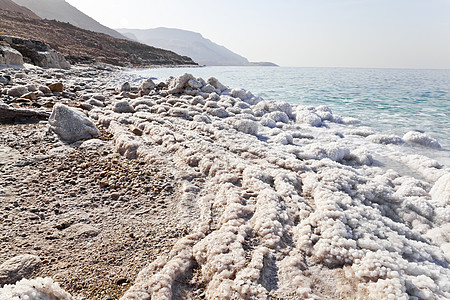 死海沿岸图片