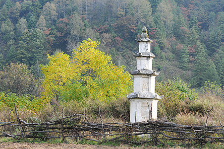 中国古代古法塔废墟建筑学佛教徒寺庙宗教宝塔黄色地标精神建筑图片