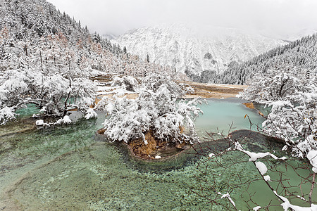 和广隆的雪山图片