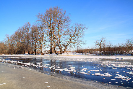 河岸沿岸的橡木旅行桦木石头衬套痕迹雪堆阴影脉冲蓝色假期图片