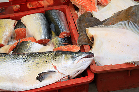 农村市场上的大鱼水族馆眼睛产品倒钩特写销售钓鱼尾巴食物淡水图片