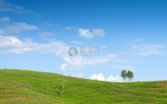 夏季风景植物草地土地绿色天空孤独蓝色地平线丘陵场地图片
