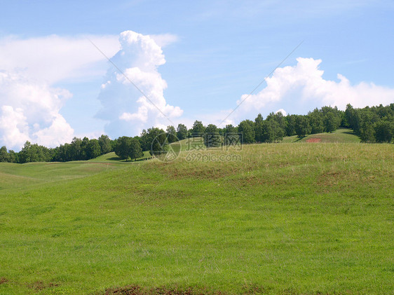 夏季风景天空全景场地植物森林土地蓝色孤独草地绿色图片