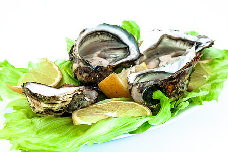 牡蛎贝类贝壳食物熟食美食海洋盘子柠檬海鲜午餐背景图片