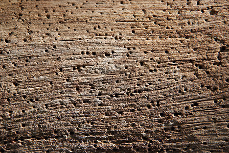 旧树皮的粗糙表面木材林业植物材料窗饰树干木板腐蚀皮肤皮层图片