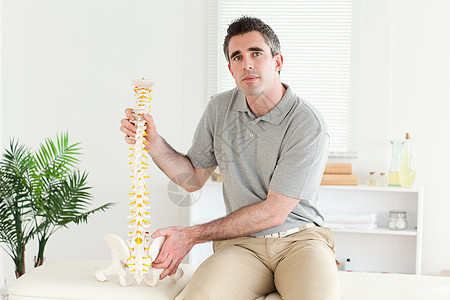 持有脊椎模型的花柱图片