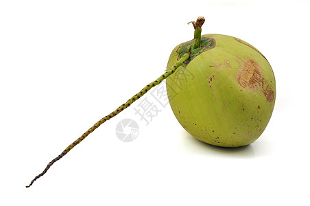 椰壳壳食物水果椰子绿色热带气候坚果背景图片