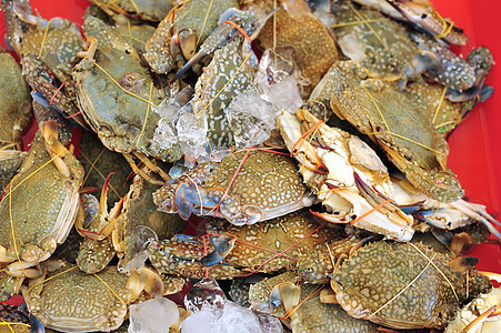 蓝蟹螃蟹市场海鲜背景图片