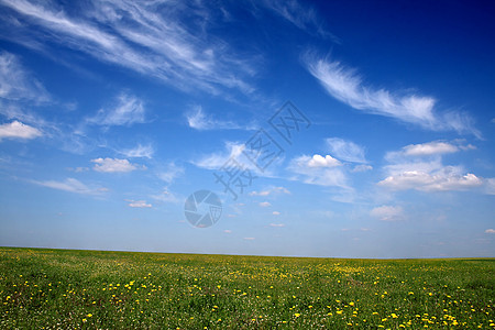 充满黄花的草地场地天气农村植物国家阳光蓝色农业城市地平线图片