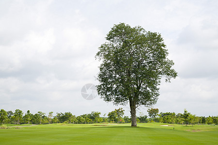 高尔夫课程运动天空公园运动场高尔夫球草地园景树木季节绿色图片