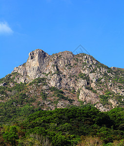 狮子摇滚爬坡天空白色岩石地标精神城市绿色头脑市中心图片