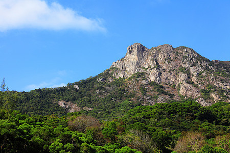 狮子摇滚头脑爬坡岩石蓝色城市地标绿色晴天白色天空图片