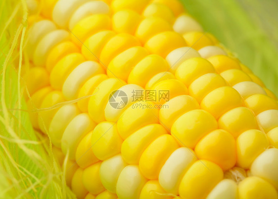玉米角营养黄色食物绿色白色蔬菜粮食叶子图片
