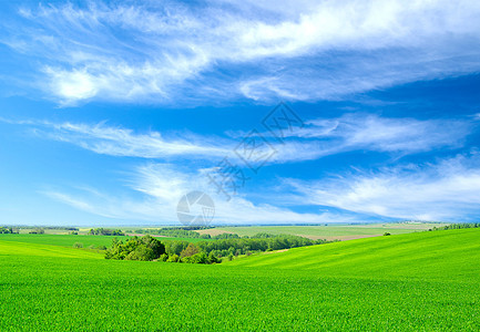 绿地和蓝天空场地远景天空国家农村农场牧场季节植物天气图片