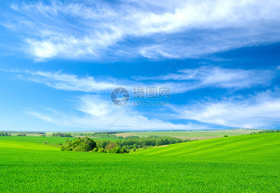 绿地和蓝天空场地远景天空国家农村农场牧场季节植物天气图片