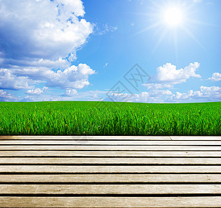 蓝蓝天空和木地板背景框架地平线天气蓝色场景晴天季节植物牧场草本植物图片