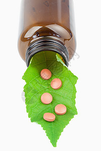 小瓶子里的叶子和药片白色热带温泉宏观植物医疗绿色草本药品草本植物图片
