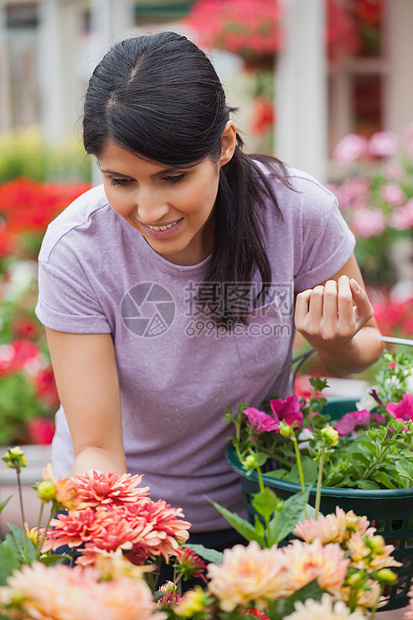 妇女为植物购物图片