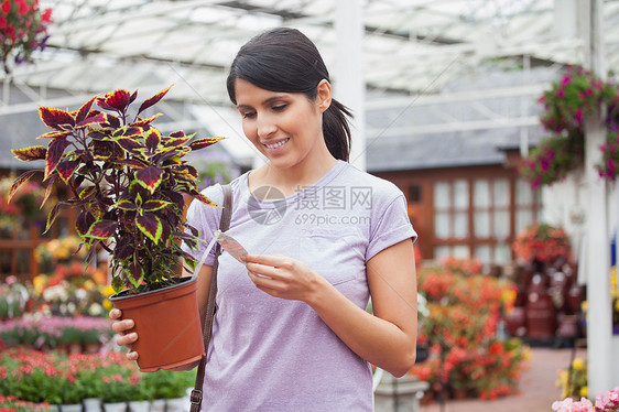 寻找工厂名称的女人 找植物的名字图片