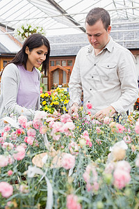 选择鲜花的夫妇幸福丈夫区系男性植物零售享受女士园丁园艺图片