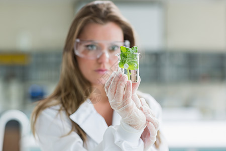 妇女站在实验室里 拿着玻璃杯和植物的图片