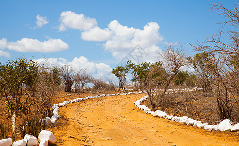 萨瓦纳公路橙子公园大草原地平线旅行天空环境小路旅游风景图片