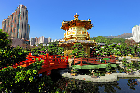中国花园的金子馆池塘松树美化途径文化绿化佛教徒花园园林寺庙图片