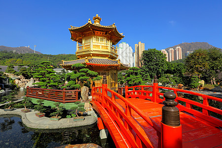 中国花园的金子馆锦鲤文化途径松树池塘绿化院子园林寺庙盆栽图片