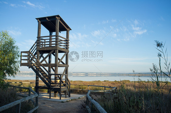 观察塔小路监视野生动物观鸟木头水平生态旅游荒野手表邮政图片