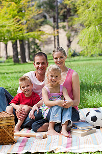 微笑的家庭在公园野餐图片