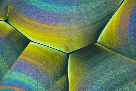 Ascobrec酸微晶体水晶科学极化显微活力显微镜结晶几何学照片招魂图片
