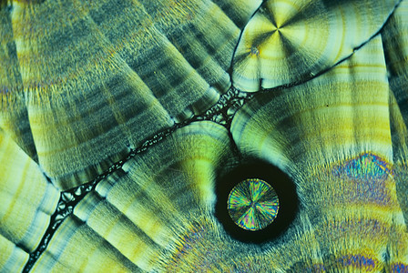 Ascobrec酸微晶体几何学精神微晶精力水晶冥想活力显微镜结晶极化图片